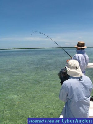 Click to Enlarge Photo