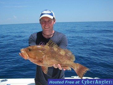 24-inch red grouper