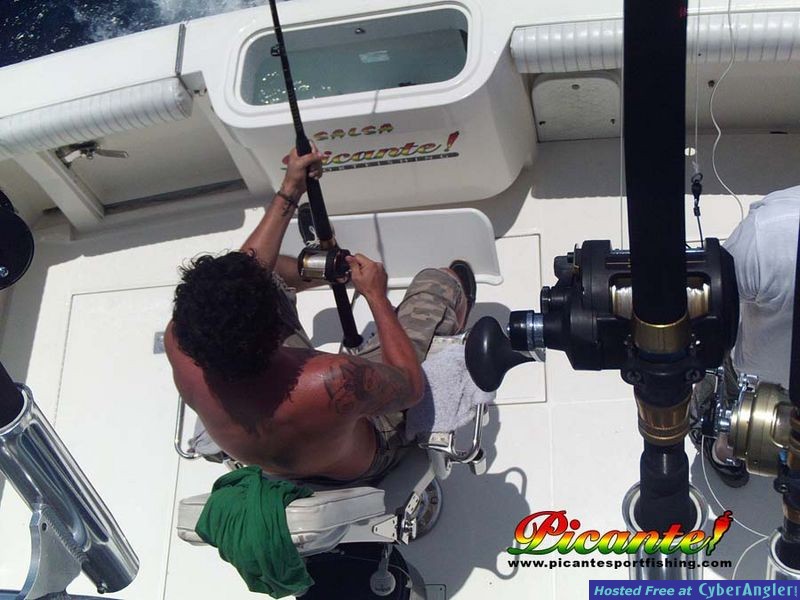 Click to Enlarge Photo