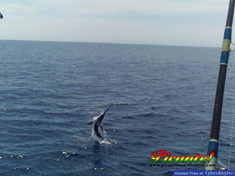 Click to Enlarge Photo