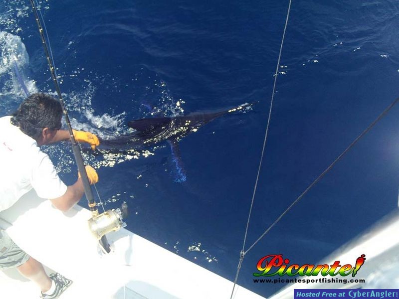 Click to Enlarge Photo