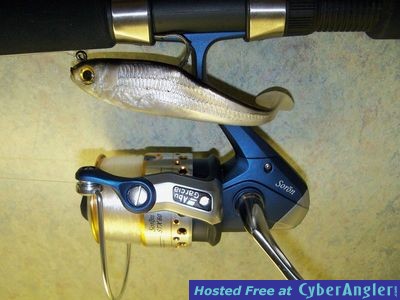 Click to Enlarge Photo