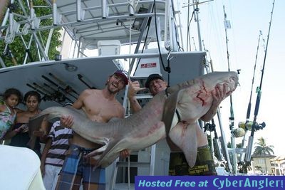 Click to Enlarge Photo