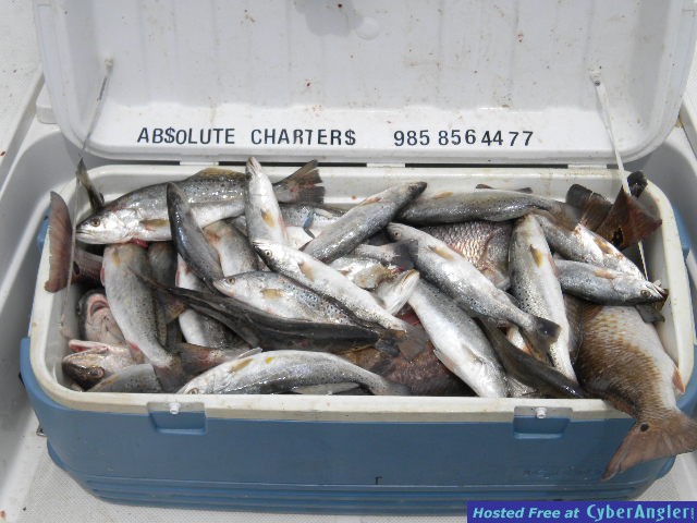 DSCN0427