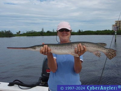 Click to Enlarge Photo