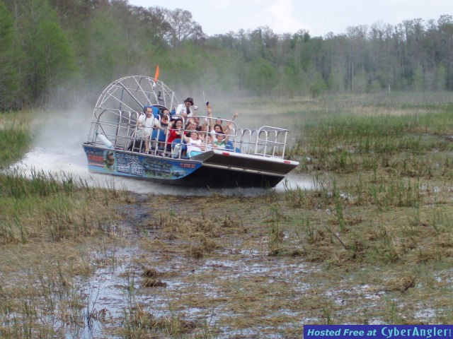 Airboat Tours Orlando
