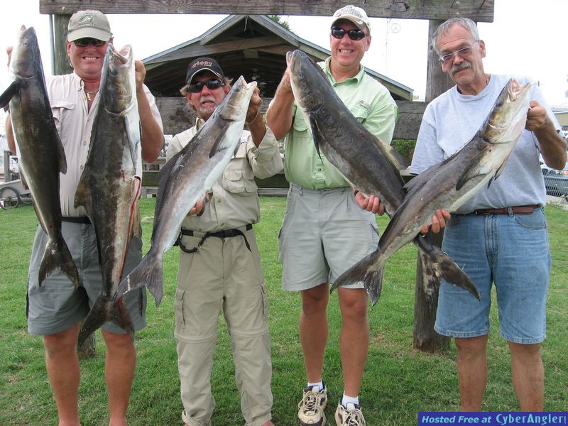 TOM &amp;amp; Jerrys charters