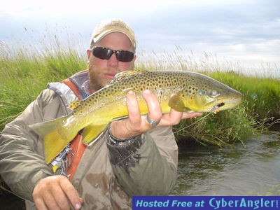 Montana spring creek hopper brown trout