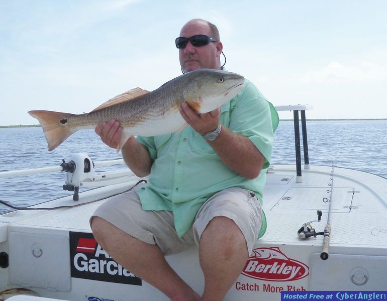 Tim sight cast to this nice red