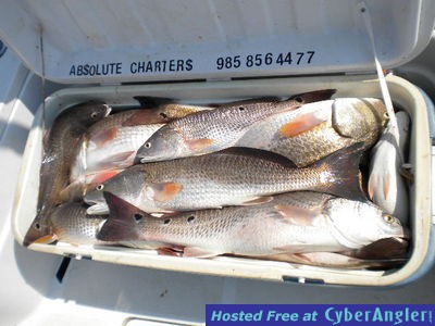 Click to Enlarge Photo