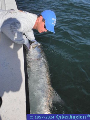 Click to Enlarge Photo