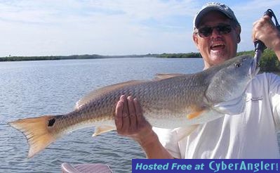 Click to Enlarge Photo