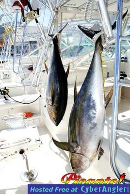 Big tuna trophies