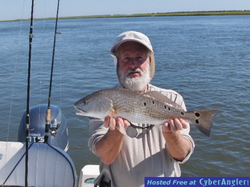 Sight Casting Red Drum