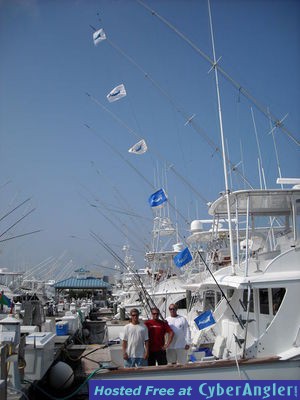 BLUE AND WHITE MARLIN