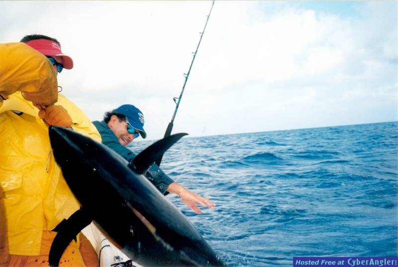 Tuna2