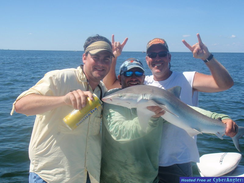 Tampa Bay Shark Fishing!