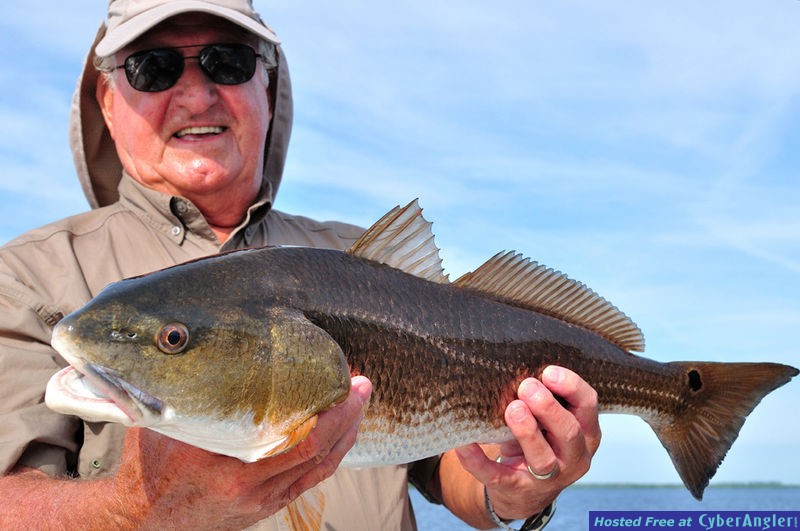 Oversize Charlotte Harbor Redfish