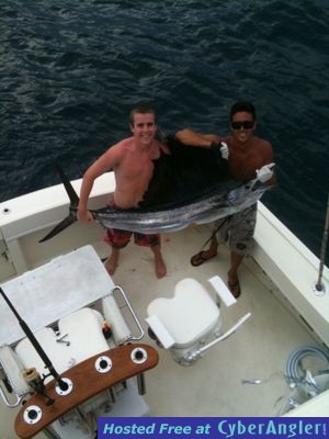 That long awaited Sailfish