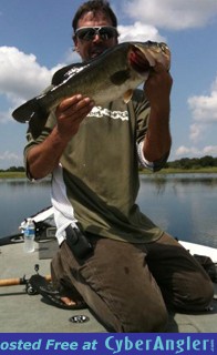 Click to Enlarge Photo