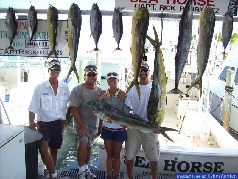 Sea Horse Charters