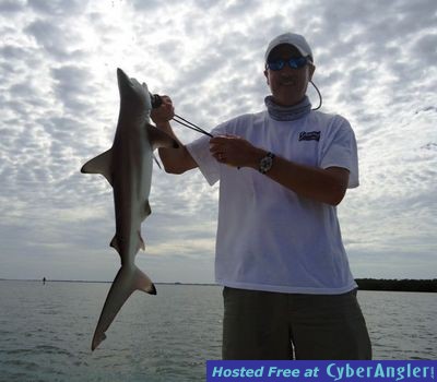 Click to Enlarge Photo