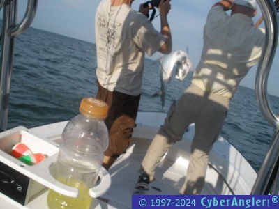 Click to Enlarge Photo