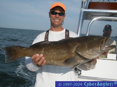 Click to Enlarge Photo