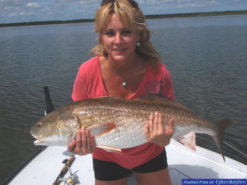 Mosquito Lagoon Redfish