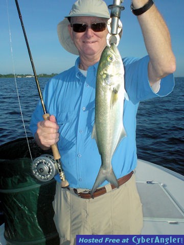 Everette Howell's Sarasota Bay fly bluefish