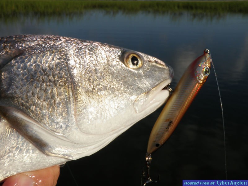 St. Augustine - A Complete Angling Destination