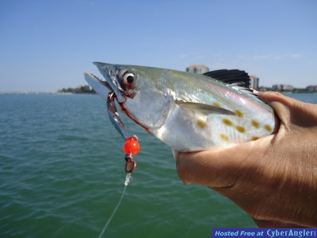 Big_Trout_002