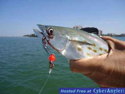 Click to Enlarge Photo