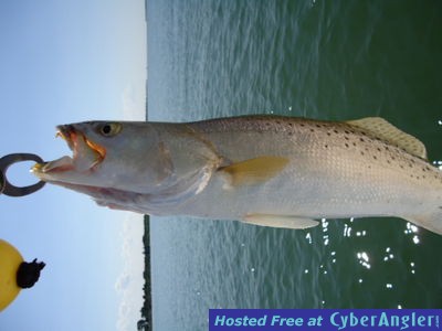 Click to Enlarge Photo