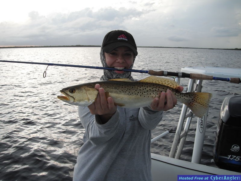 Flamingo Trout