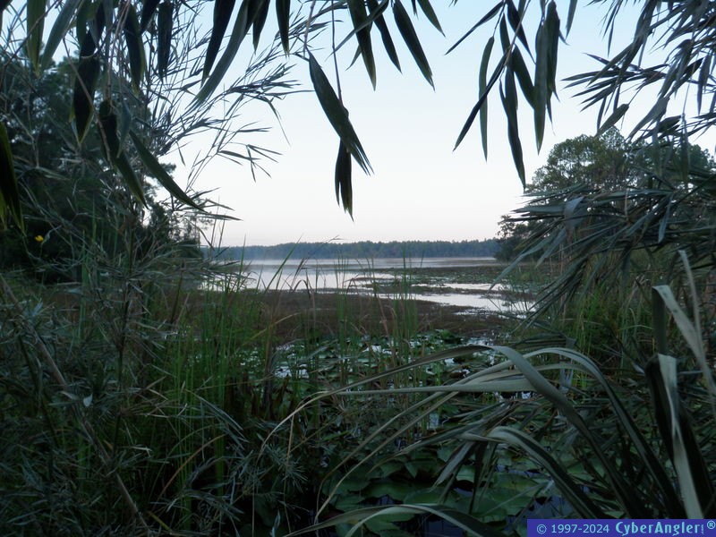 P9290007