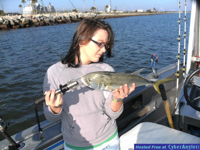 www.captdaves.com