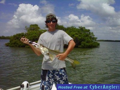 Click to Enlarge Photo