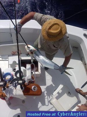 Click to Enlarge Photo