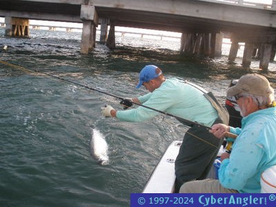 Click to Enlarge Photo