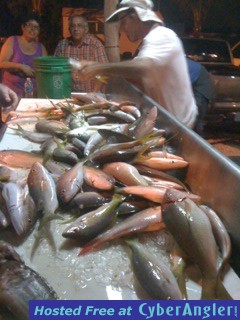 Sea Legs III