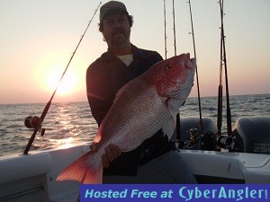 Mike_C_Snapper