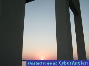 My_porch_view