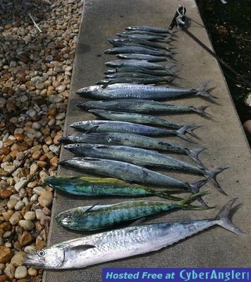 Click to Enlarge Photo