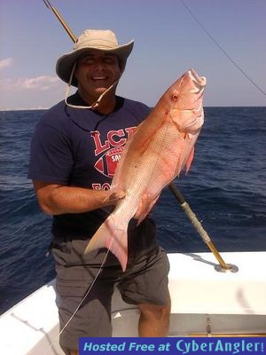 mutton snapper and sailfish