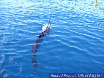 Quepos Fish Adventure in Costa Rica