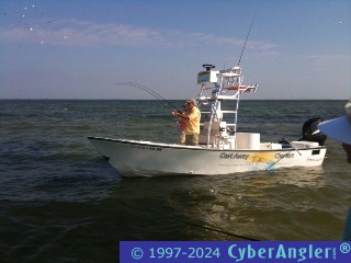 Click to Enlarge Photo