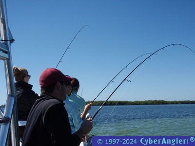 Click to Enlarge Photo