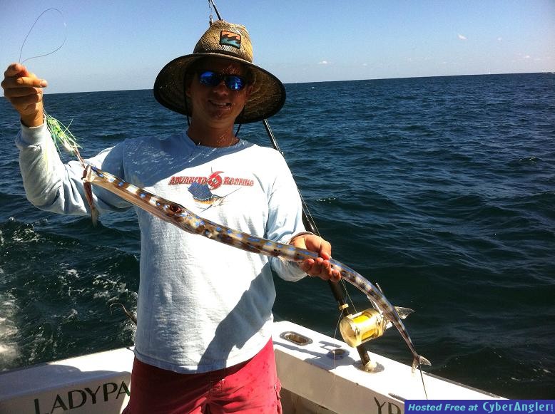 oct_sailfish_009