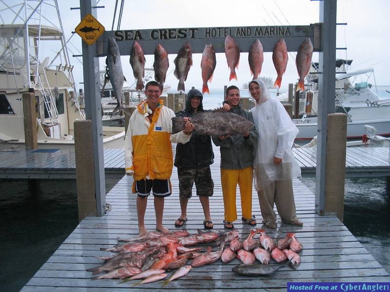 Bimini - June 2005